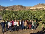 El PSOE pide al Gobierno que proteja a los productores almerienses de cítricos de las importaciones sudafricanas