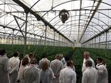 HORTIESPAÑA traslada la importancia de buscar un marco legislativo europeo para la futura Organización Interprofesional Europea
