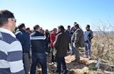 La Junta analizará nuevas vías de desarrollo del sector agrícola y ganadero en el Levante de la provincia