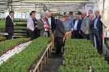COEXPHAL guía a un grupo de holandeses en su visita por el sector hortícola almeriense