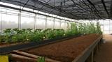 El Centro Experimental de SEIPASA, un hito que marca la diferencia