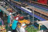 Andalucía lidera las exportaciones de alimentos y bebidas en 2016 con un crecimiento del 12% entre enero y noviembre