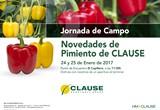 HM. Clause muestra sus novedades en pimiento este martes y miércoles