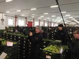 La TV pública japonesa se interesa por el sabor de los tomates de Agrupalmería