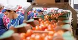 Biotec Family, cooperativa 100% eco-friendly que destaca por su producción tradicional con sabor y calidad