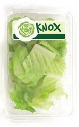 Rijk Zwaan, nominada  con KnoxTM a los ‘Innovation  Award’ de Fruit Logistica