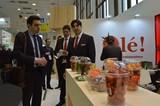 Cooperativas de Granada: embajadoras de la calidad y seguridad alimentaria del campo granadino en Fruit Logística