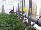 La Junta anima al sector agroalimentario a apostar por las nuevas tecnologías para dar respuesta a los retos de futuro