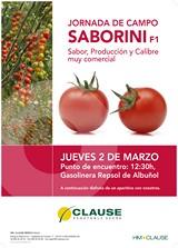 HM. Clause organiza una jornada de campo este jueves en Albuñol para mostrar su cherry Saborini