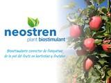 El nuevo bioestimulante vegetal neostren de LIDA Plant Research corrige las fisiopatías de la piel de los frutos en hortícolas y frutales