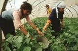 Agricultura ultima la creación del registro de titularidad compartida de las explotaciones agrarias