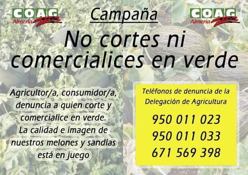 COAG insta a agricultores y consumidores a denunciar si detectan comercialización en verde