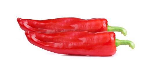Los buenos resultados de Perotti lo convierten en la variedad de pimiento dulce italiano con mejores expectativas esta campaña