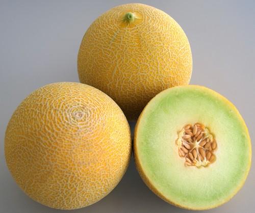 Takii presenta dos novedades en melón Galia para invernadero en la feria