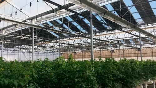 La tecnología solar fotovoltaica en Almería tendría importantes efectos medioambientales y socio-económicos a escala regional y nacional