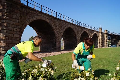 Control biológico en los jardines de Almería, una técnica que estimula la biodiversidad del entorno urbano