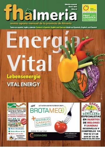 Nº 81 - Enero 2015