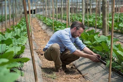 Yara lanza YaraTeraTM, su nueva familia de productos para fertirrigación