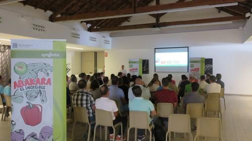Syngenta pone todo su potencial innovador en el desarrollo de variedades de pimiento con resistencias a oídio, nemátodos, mosca blanca y otros insectos