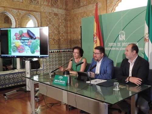 La berenjena, el producto con más incremento en el valor en origen alcanzando los 133 millones de euros en 2016-2017