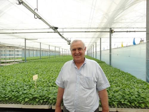 Semilleros Laimund, a pleno rendimiento ofreciendo la máxima calidad y una experiencia de décadas