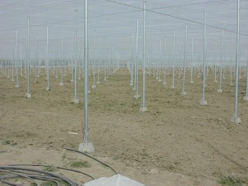Los gastos de amortización del agricultor superaron los 12.000 euros por hectárea