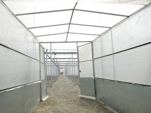 Invernaderos Gaitán aumenta un 20 por ciento su volumen de trabajo este año