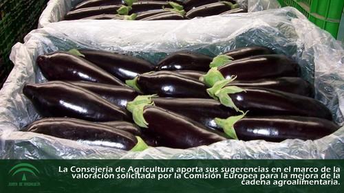 Andalucía plantea a la Unión Europea la necesidad de una legislación que evite las prácticas comerciales desleales