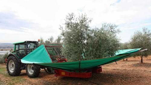 La transmisión del conocimiento, hilo conductor de la actividad de Infoagro
