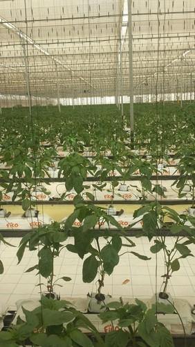 TECNOVA desarrolla un nuevo sistema de control de clima en zonas cálidas