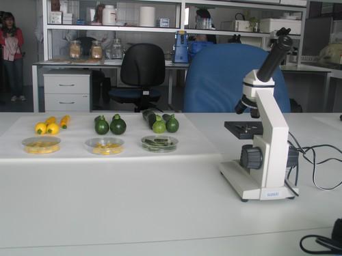 La agricultura almeriense sigue alimentando a Europa gracias a su constante esfuerzo y apuesta por la I+D+i