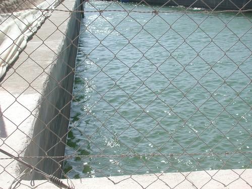 El problema del agua es el problema