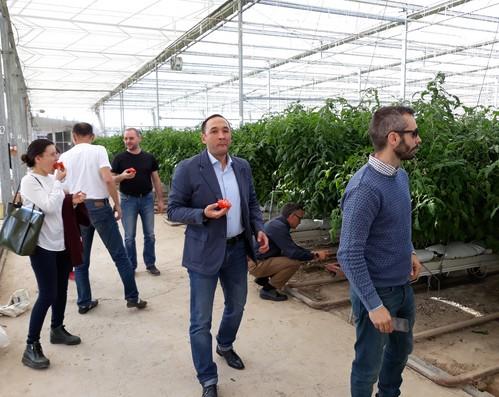 Cuatro empresas agrícolas almerienses participan en un encuentro comercial de Extenda en Kazajistán