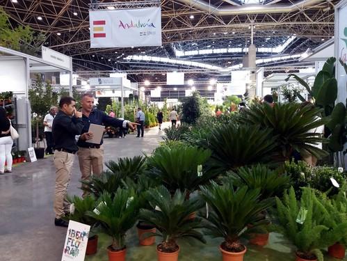 Siete empresas de Almería muestran su oferta en la feria internacional Iberflora, de la mano de Extenda