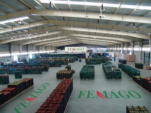  Femago S.A. inicia el preconcurso de acreedores