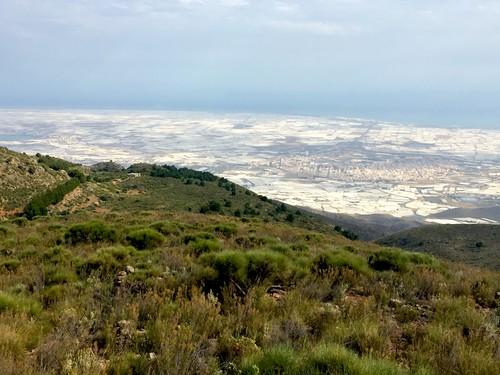 ​La Junta avala la propuesta de los regantes del Poniente para salvar en 10 años el acuífero sobreexplotado