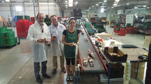 La Junta entrega a la cooperativa CASUR una ayuda de 800.000 euros de los Fondos Operativos 2016