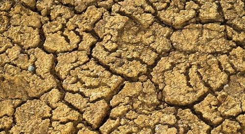 Clara Aguilera pide unos requisitos del pago verde más flexibles para agricultores afectados por la sequía
