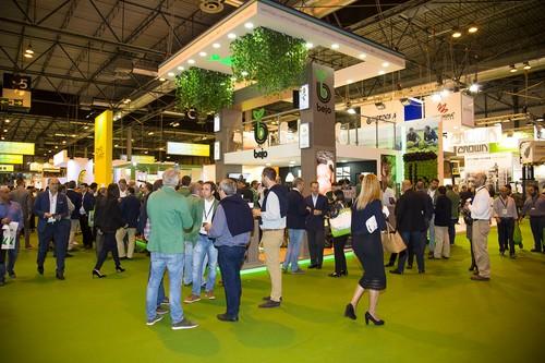 Bejo cosecha un éxito rotundo en Fruit Attraction 2017