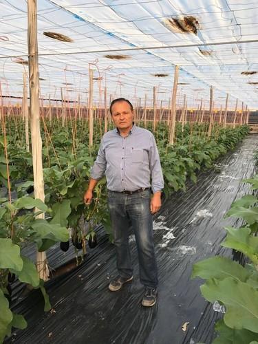 La productividad y calidad de Thelma RZ y Yolanda RZ  otorgan un premio al agricultor roquetero Miguel Rubio