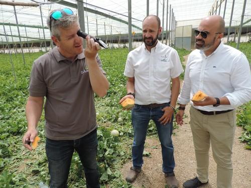 Seminis, una apuesta segura en melón y sandía
