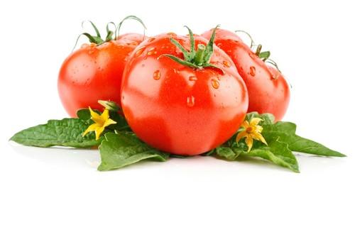 NeemAzal®-T/S de Agrichem, versatilidad y eficacia