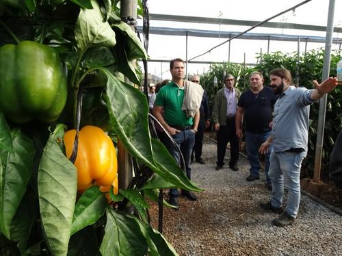 Las II Jornadas de Pimiento Temprano de Dalías arrancan con ponencias sobre el futuro de la agricultura y presentando variedades de Syngenta