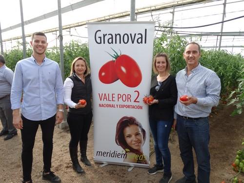 Meridiem Seeds muestra orgulloso su tomate pera gordo Granoval