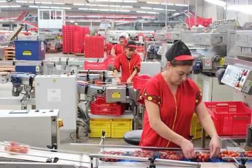 Agricultura publica en el BOJA el Decreto de Entidades Asociativas Prioritarias Agroalimentarias de Andalucía
