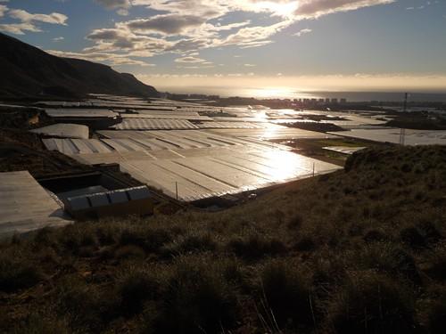 El invernadero, un sistema de producción sostenible