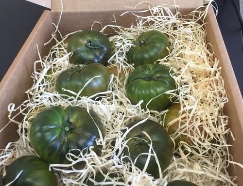 El tomate Adora y Ulti-Mite Swirski, nominados a los Premios a la Innovación en Fruit Logistica 2018
