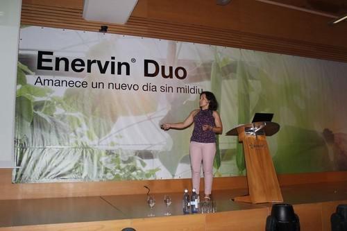Enervin® Duo, innovación aplicada al control de mildiu en hortícolas de invernadero