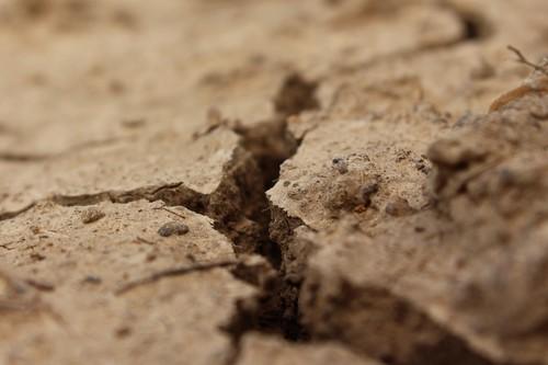  ASAJA advierte de que el cambio climático supone una seria amenaza para la producción agrícola almeriense