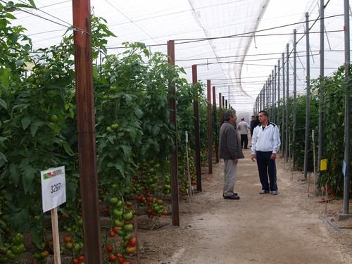 Hazera ofrecerá “condiciones especiales” a los afectados por el tornado
